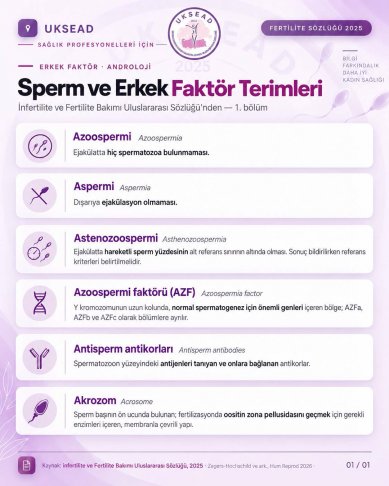 Sperm ve Erkek Faktör Terimleri