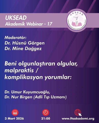 Akademik Webinar - 17